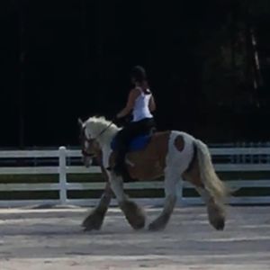 Meet your Posher, Mia